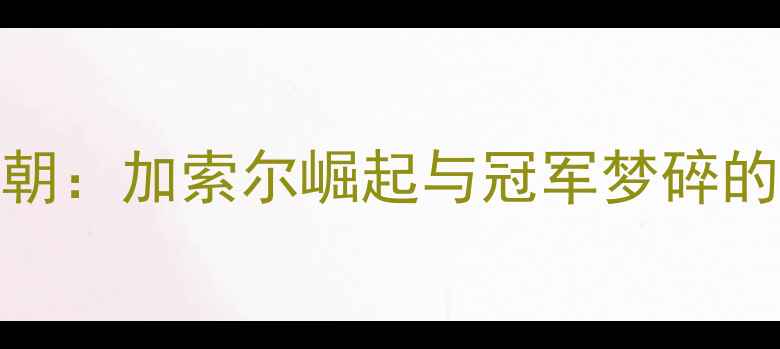 图片 06年猛龙王朝：加索尔崛起与冠军梦碎的史诗赛季全