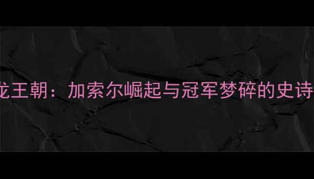 图片 06年猛龙王朝：加索尔崛起与冠军梦碎的史诗赛季全1