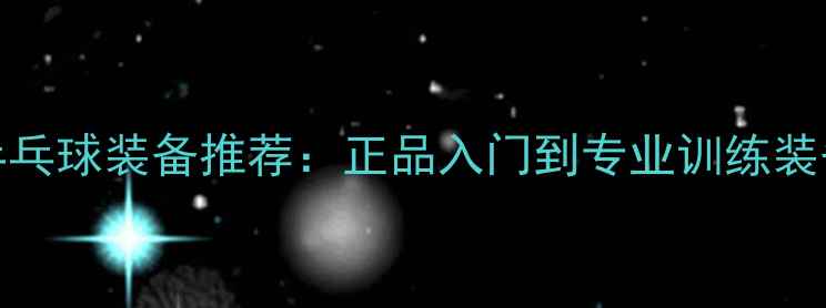 图片 10款爆款乒乓球装备推荐：正品入门到专业训练装备避坑指南