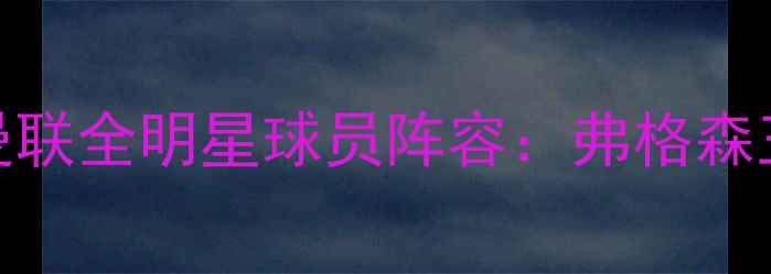 图片 1993-1994赛季曼联全明星球员阵容：弗格森王朝的奠基之作2