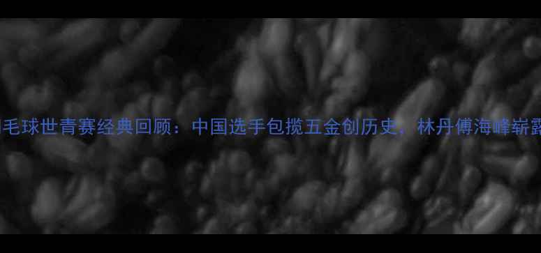 图片 2002羽毛球世青赛经典回顾：中国选手包揽五金创历史，林丹傅海峰崭露头角1
