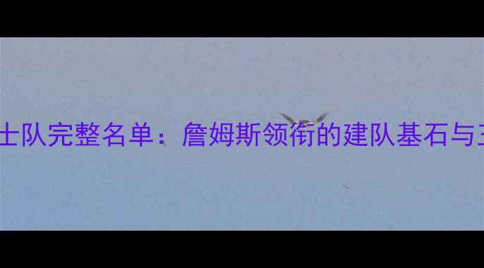 图片 2003年骑士队完整名单：詹姆斯领衔的建队基石与王朝奠基1
