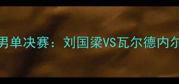 图片 2004雅典奥运会乒乓球男单决赛：刘国梁VS瓦尔德内尔巅峰对决全纪录与技术