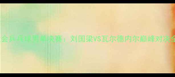 图片 2004雅典奥运会乒乓球男单决赛：刘国梁VS瓦尔德内尔巅峰对决全纪录与技术1
