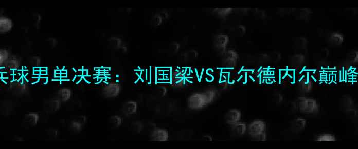 图片 2004雅典奥运会乒乓球男单决赛：刘国梁VS瓦尔德内尔巅峰对决全纪录与技术2