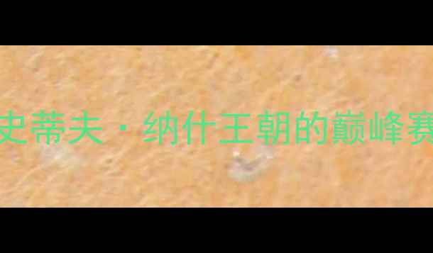 图片 2005年菲尼克斯太阳队：史蒂夫·纳什王朝的巅峰赛季与西部决赛经典对决全