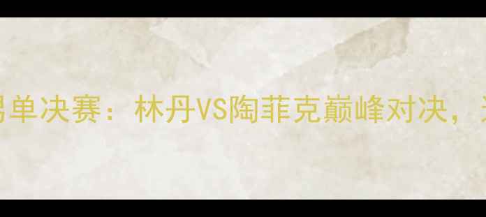 图片 2008北京奥运会羽毛球男单决赛：林丹VS陶菲克巅峰对决，这才是真正的神仙打架！