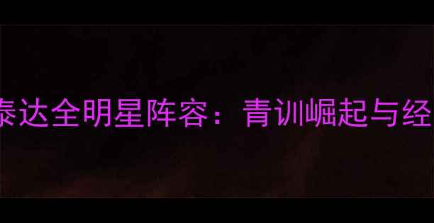 图片 2008天津泰达全明星阵容：青训崛起与经典战役全1