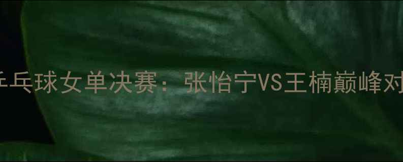 图片 2008年北京奥运会乒乓球女单决赛：张怡宁VS王楠巅峰对决与郭跃黑马之旅1