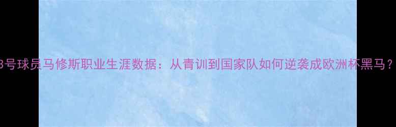 图片 23号球员马修斯职业生涯数据：从青训到国家队如何逆袭成欧洲杯黑马？2