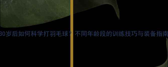 图片 30岁后如何科学打羽毛球？不同年龄段的训练技巧与装备指南