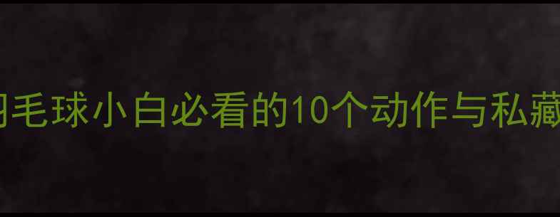 图片 3个月从零到冠军！羽毛球小白必看的10个动作与私藏技巧（附训练计划）