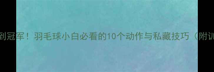 图片 3个月从零到冠军！羽毛球小白必看的10个动作与私藏技巧（附训练计划）1