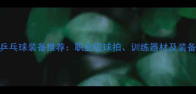 图片 40款乒乓球装备推荐：职业级球拍、训练器材及装备指南