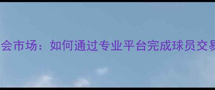 图片 5173足球转会市场：如何通过专业平台完成球员交易操作指南1