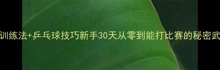 图片 729训练法+乒乓球技巧新手30天从零到能打比赛的秘密武器2