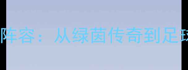 图片 98年世界足球经典阵容：从绿茵传奇到足球哲学的传承密码2