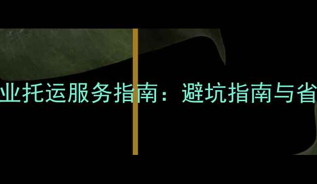 图片 ABS乒乓球器材专业托运服务指南：避坑指南与省时省心解决方案1