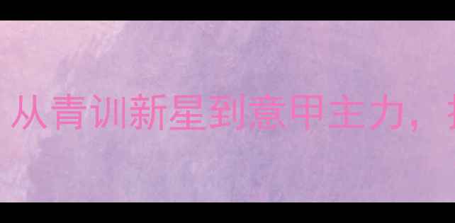 图片 Bosnjak职业生涯深度：从青训新星到意甲主力，技术特点与数据表现全2