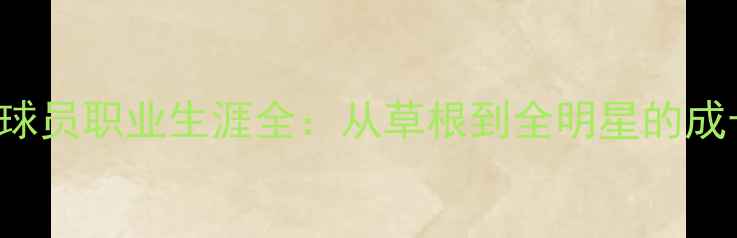 图片 BrandiJohnsonNBA球员职业生涯全：从草根到全明星的成长密码与竞技智慧1