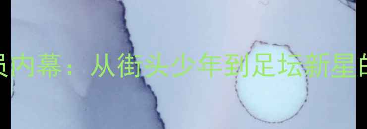 图片 Burger球员内幕：从街头少年到足坛新星的逆袭之路