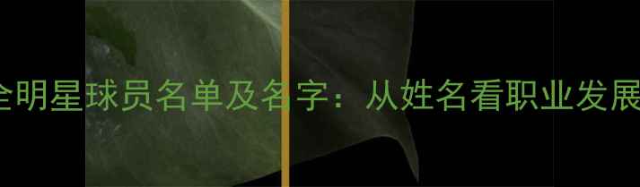 图片 CBA全明星球员名单及名字：从姓名看职业发展轨迹