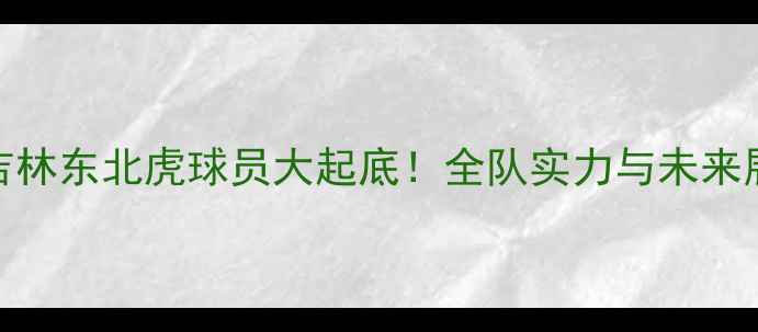 图片 CBA吉林东北虎球员大起底！全队实力与未来展望1