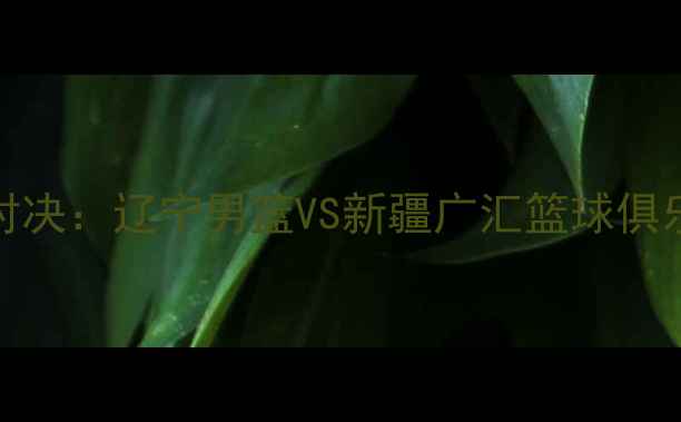 图片 CBA总决赛巅峰对决：辽宁男篮VS新疆广汇篮球俱乐部终极较量全2