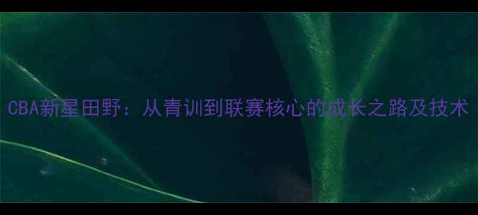 图片 CBA新星田野：从青训到联赛核心的成长之路及技术
