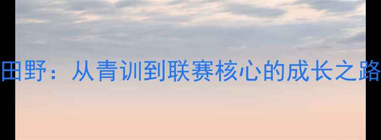 图片 CBA新星田野：从青训到联赛核心的成长之路及技术1