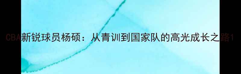 图片 CBA新锐球员杨硕：从青训到国家队的高光成长之路1