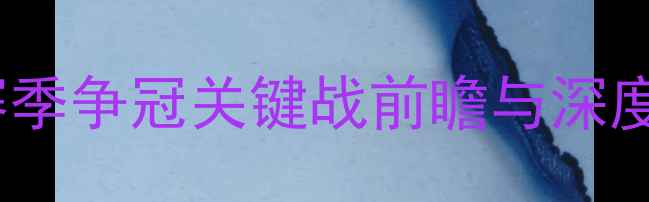 图片 CBA江苏龙VS深圳烈豹：赛季争冠关键战前瞻与深度（附历史数据战术分析）