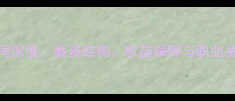 图片 CBA球员合同深度：薪资结构、权益保障与职业发展全指南1