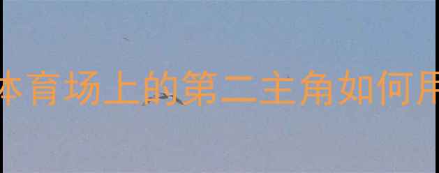 图片 CBA球员看啦啦队：职业体育场上的第二主角如何用专业素养重塑赛事生态2