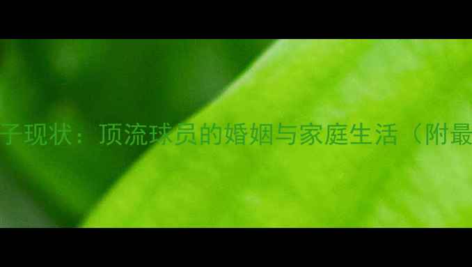 图片 CBA球星妻子现状：顶流球员的婚姻与家庭生活（附最新动态）1