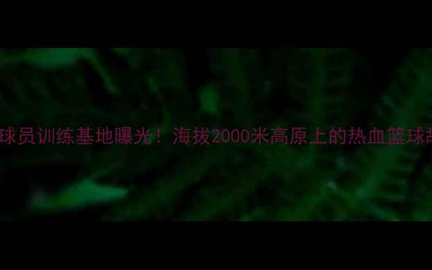 图片 CBA终南山球员训练基地曝光！海拔2000米高原上的热血篮球故事🏀⛰️