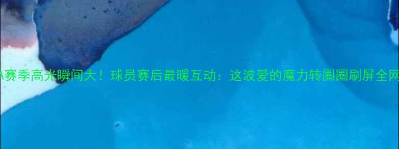 图片 CBA赛季高光瞬间大！球员赛后最暖互动：这波爱的魔力转圈圈刷屏全网！