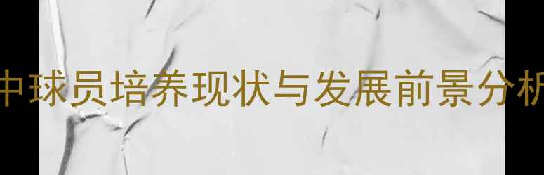 图片 CBA青训体系改革：高中球员培养现状与发展前景分析（附三大优势解读）1