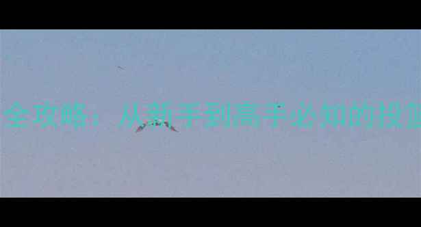 图片 CGL篮球联赛全攻略：从新手到高手必知的投篮技巧与赛事