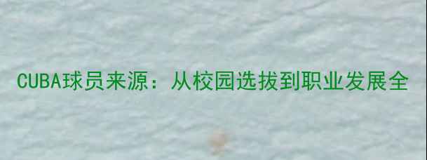 图片 CUBA球员来源：从校园选拔到职业发展全