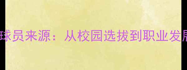 图片 CUBA球员来源：从校园选拔到职业发展全2