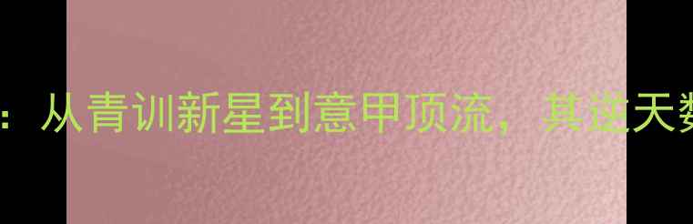 图片 Cakiroglu深度：从青训新星到意甲顶流，其逆天数据与成长密码