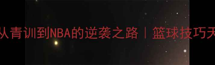 图片 Dordevic球员成长记：从青训到NBA的逆袭之路｜篮球技巧天花板+职业发展干货全2