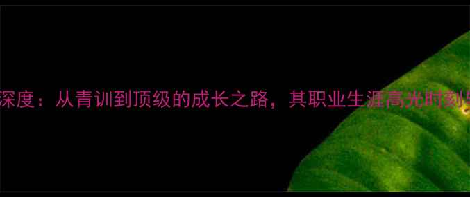 图片 EVATT球员深度：从青训到顶级的成长之路，其职业生涯高光时刻与未来展望