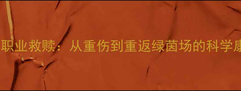 图片 FELIX的职业救赎：从重伤到重返绿茵场的科学康复之路