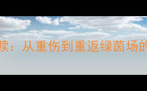 图片 FELIX的职业救赎：从重伤到重返绿茵场的科学康复之路1