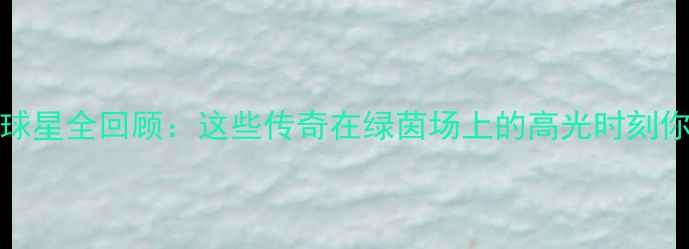 图片 FIFA14退役球星全回顾：这些传奇在绿茵场上的高光时刻你记得几个？