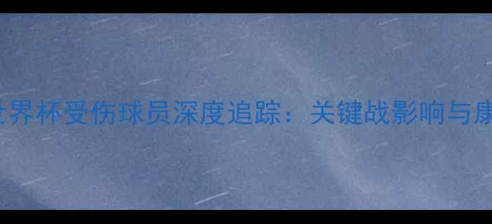 图片 FIFAU20世界杯受伤球员深度追踪：关键战影响与康复进展全