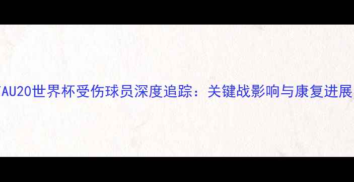 图片 FIFAU20世界杯受伤球员深度追踪：关键战影响与康复进展全2
