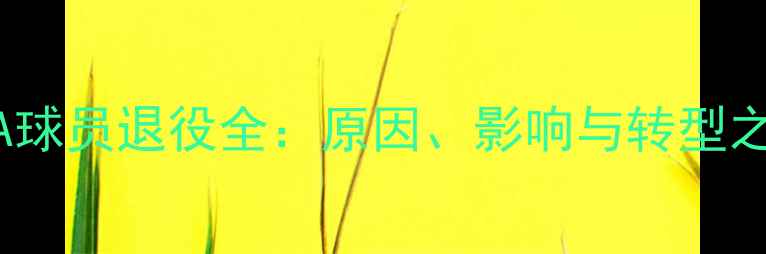 图片 FIFA球员退役全：原因、影响与转型之路1